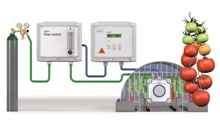 Scenty Ripening and Degreening System