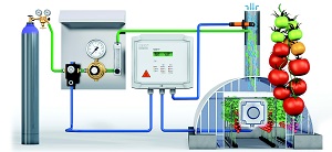 Scenty EX Ripening and Degreening Control